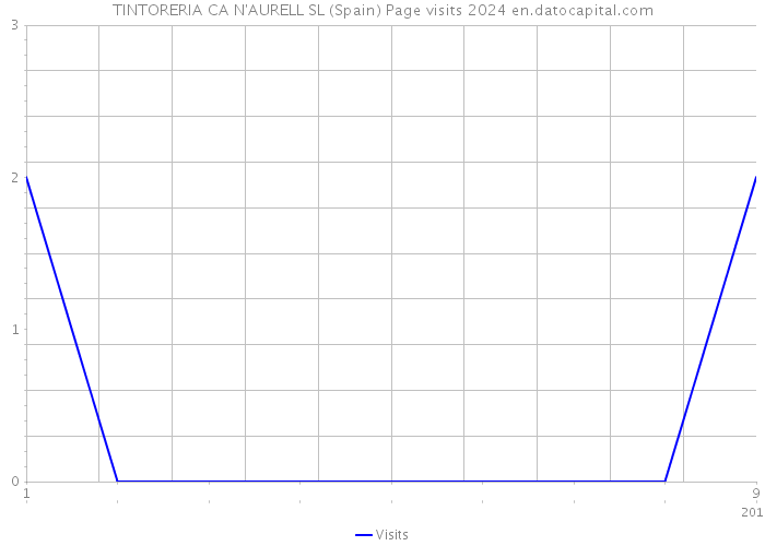 TINTORERIA CA N'AURELL SL (Spain) Page visits 2024 