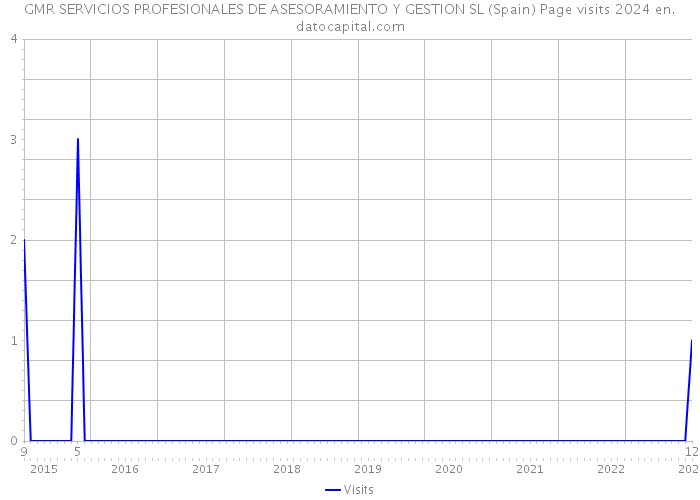GMR SERVICIOS PROFESIONALES DE ASESORAMIENTO Y GESTION SL (Spain) Page visits 2024 