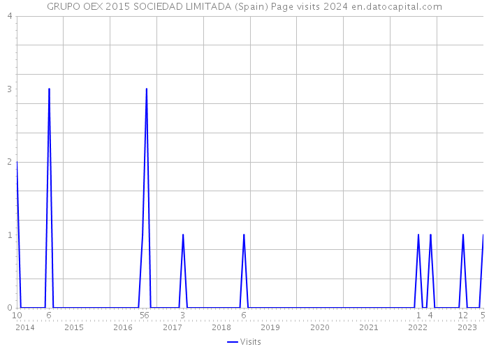 GRUPO OEX 2015 SOCIEDAD LIMITADA (Spain) Page visits 2024 