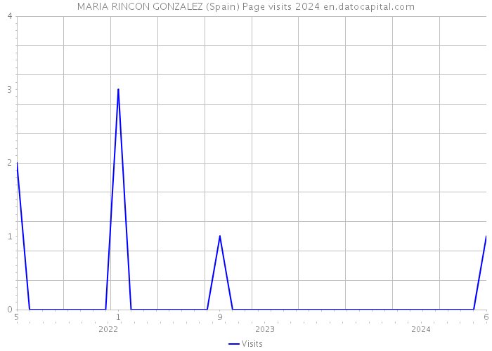 MARIA RINCON GONZALEZ (Spain) Page visits 2024 