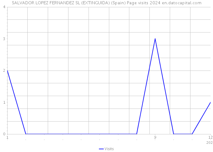 SALVADOR LOPEZ FERNANDEZ SL (EXTINGUIDA) (Spain) Page visits 2024 