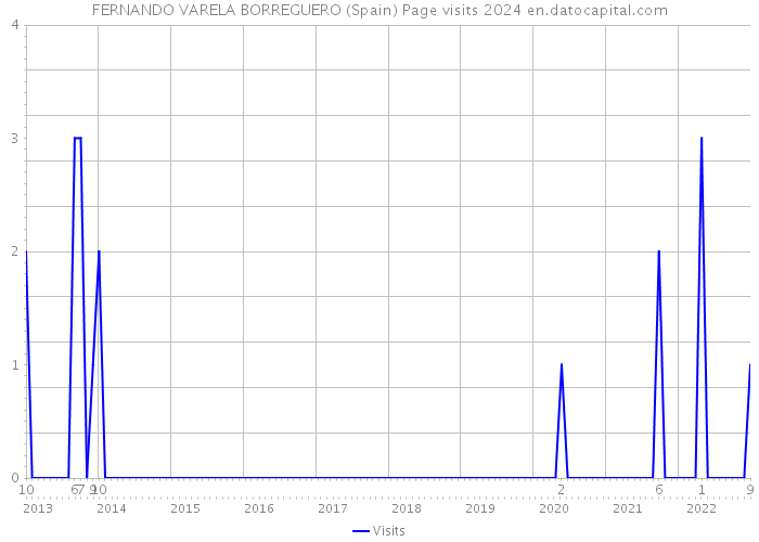 FERNANDO VARELA BORREGUERO (Spain) Page visits 2024 