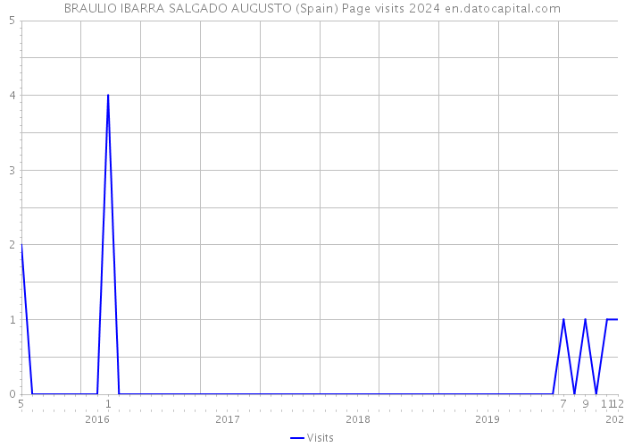 BRAULIO IBARRA SALGADO AUGUSTO (Spain) Page visits 2024 