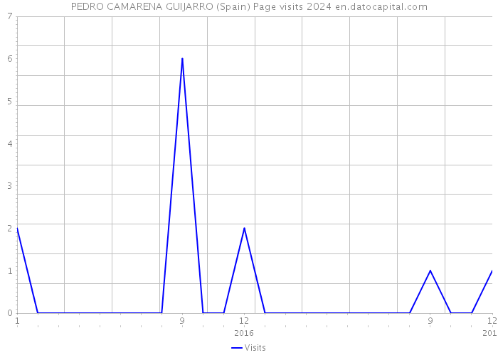 PEDRO CAMARENA GUIJARRO (Spain) Page visits 2024 