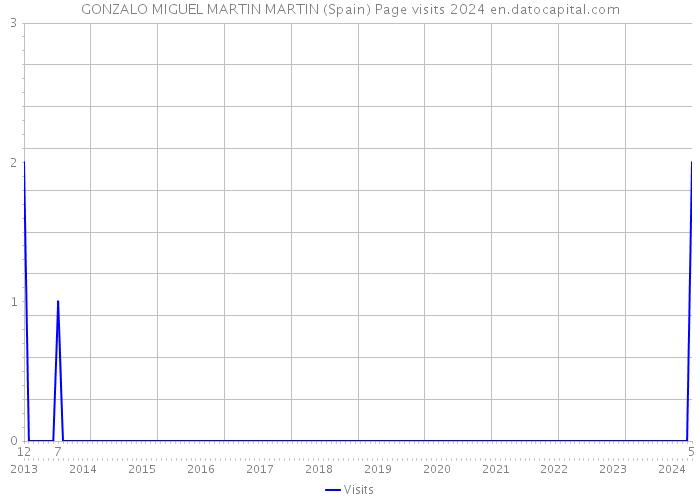 GONZALO MIGUEL MARTIN MARTIN (Spain) Page visits 2024 