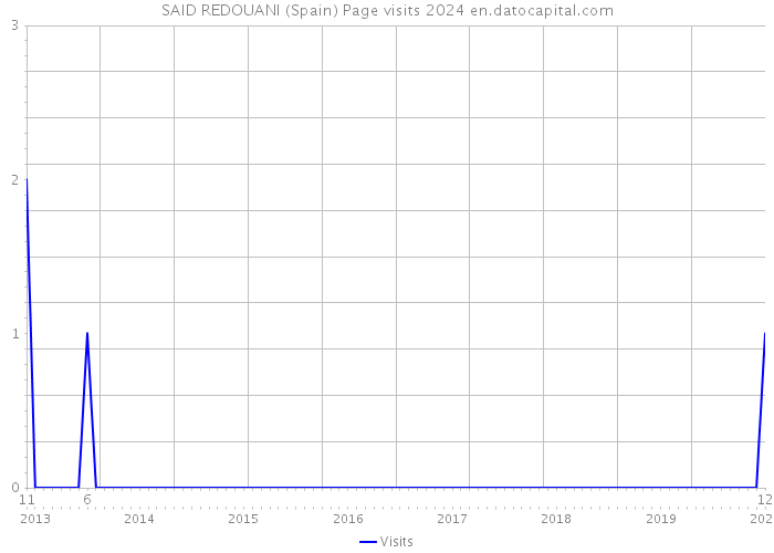 SAID REDOUANI (Spain) Page visits 2024 