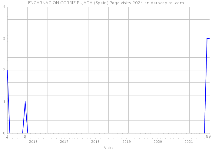 ENCARNACION GORRIZ PUJADA (Spain) Page visits 2024 