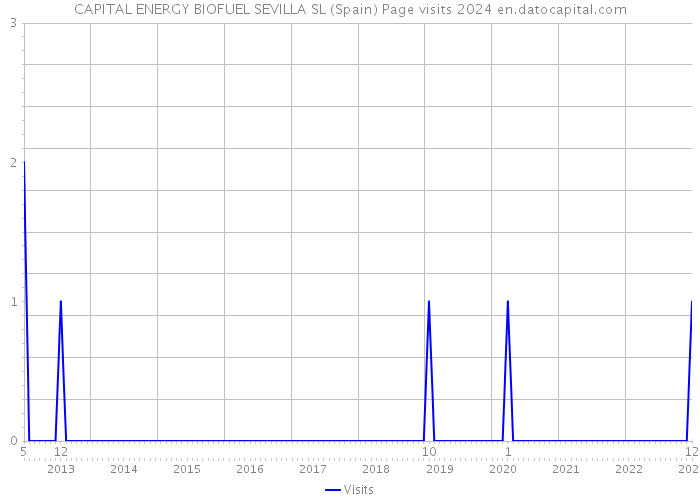CAPITAL ENERGY BIOFUEL SEVILLA SL (Spain) Page visits 2024 