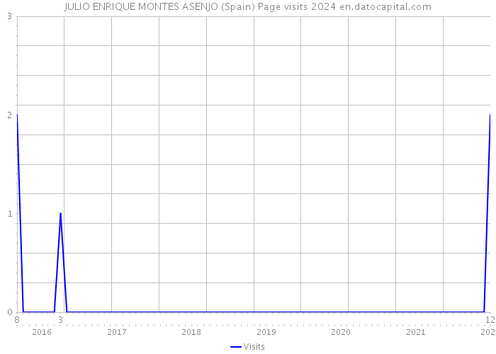 JULIO ENRIQUE MONTES ASENJO (Spain) Page visits 2024 