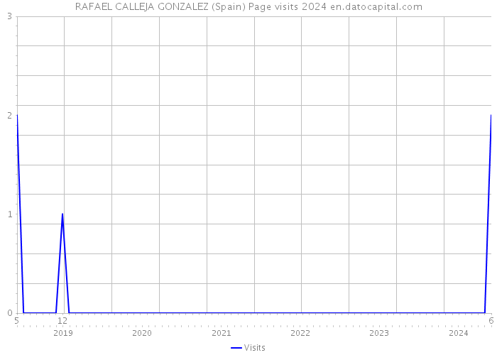 RAFAEL CALLEJA GONZALEZ (Spain) Page visits 2024 