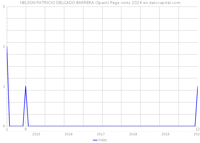 NELSON PATRICIO DELGADO BARRERA (Spain) Page visits 2024 