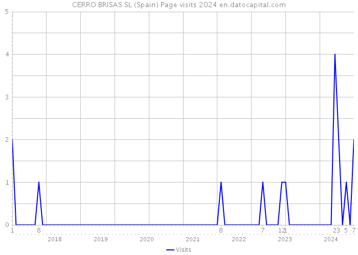 CERRO BRISAS SL (Spain) Page visits 2024 