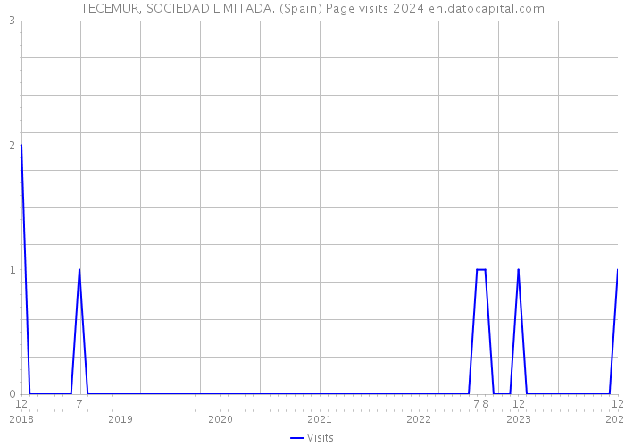 TECEMUR, SOCIEDAD LIMITADA. (Spain) Page visits 2024 