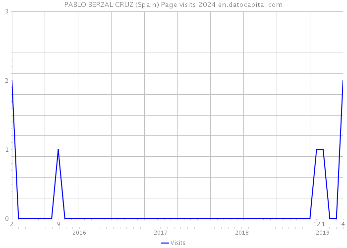PABLO BERZAL CRUZ (Spain) Page visits 2024 