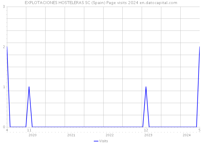 EXPLOTACIONES HOSTELERAS SC (Spain) Page visits 2024 