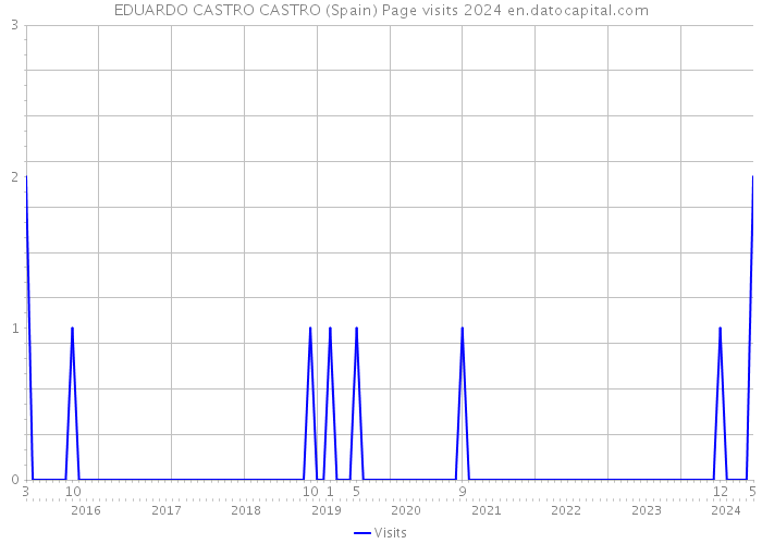 EDUARDO CASTRO CASTRO (Spain) Page visits 2024 