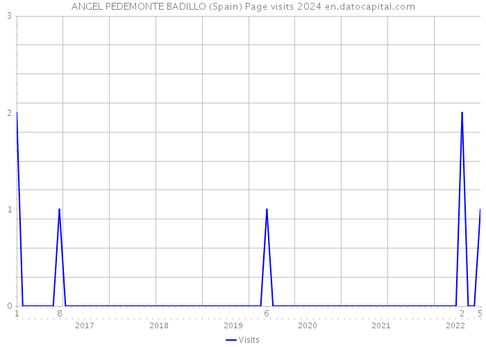 ANGEL PEDEMONTE BADILLO (Spain) Page visits 2024 