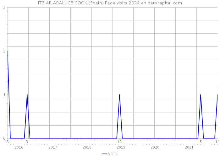 ITZIAR ARALUCE COOK (Spain) Page visits 2024 