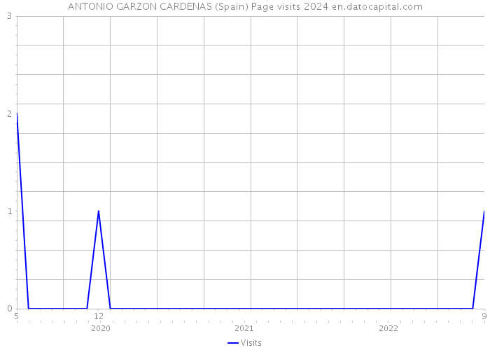 ANTONIO GARZON CARDENAS (Spain) Page visits 2024 