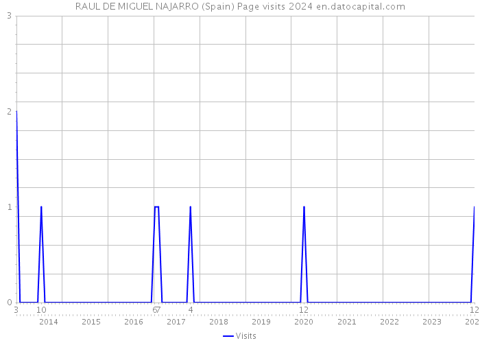 RAUL DE MIGUEL NAJARRO (Spain) Page visits 2024 