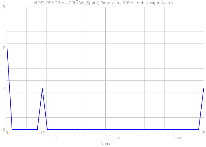 VICENTE ADRIAN GRIÑAN (Spain) Page visits 2024 