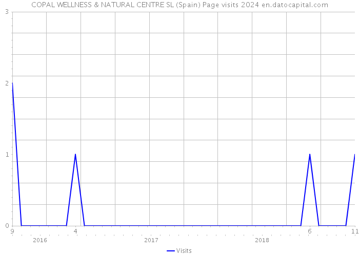 COPAL WELLNESS & NATURAL CENTRE SL (Spain) Page visits 2024 