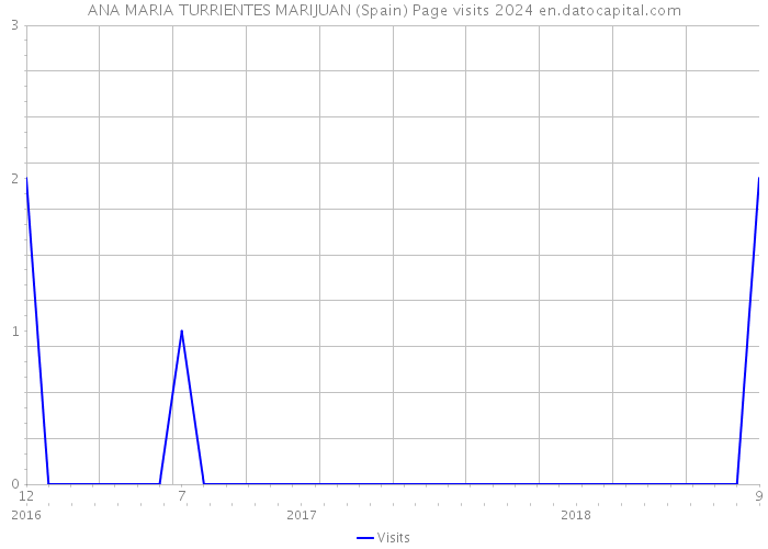 ANA MARIA TURRIENTES MARIJUAN (Spain) Page visits 2024 