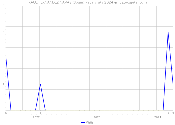 RAUL FERNANDEZ NAVAS (Spain) Page visits 2024 