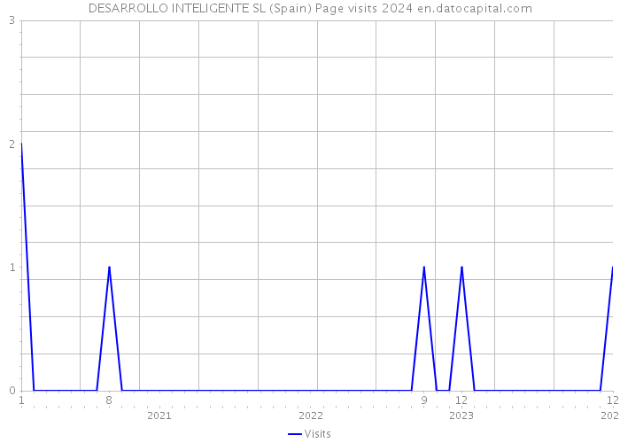 DESARROLLO INTELIGENTE SL (Spain) Page visits 2024 