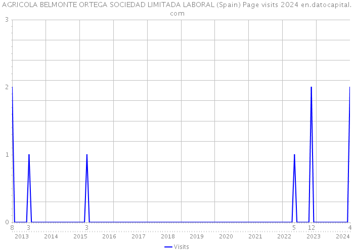 AGRICOLA BELMONTE ORTEGA SOCIEDAD LIMITADA LABORAL (Spain) Page visits 2024 