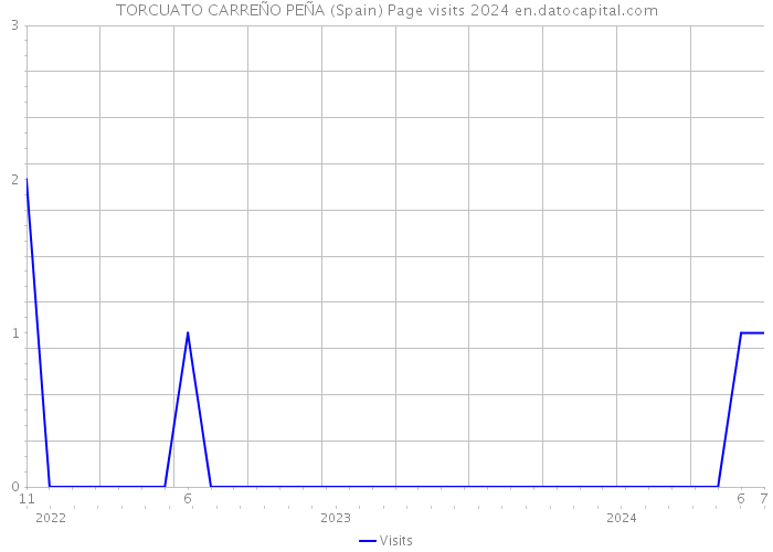 TORCUATO CARREÑO PEÑA (Spain) Page visits 2024 