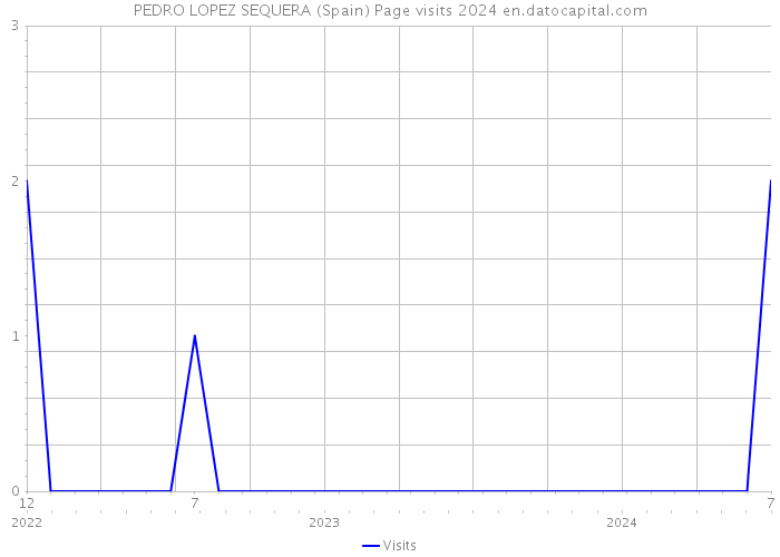PEDRO LOPEZ SEQUERA (Spain) Page visits 2024 