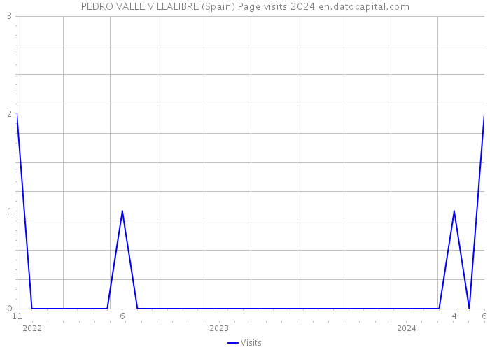 PEDRO VALLE VILLALIBRE (Spain) Page visits 2024 
