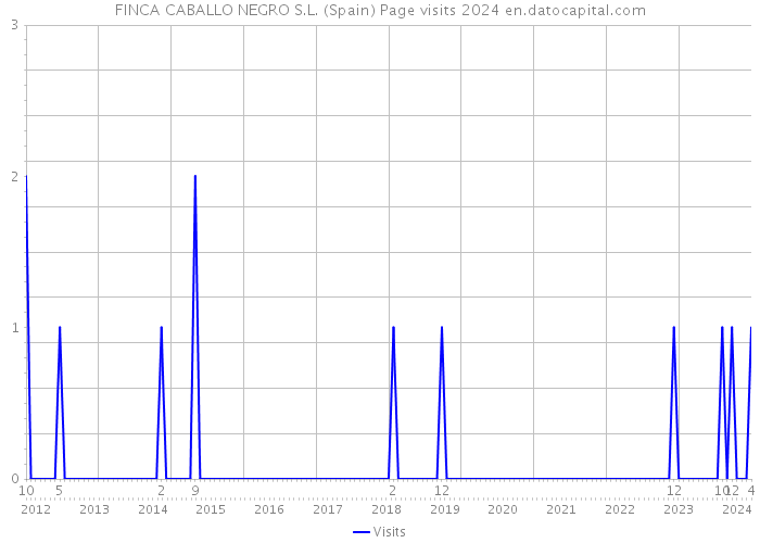 FINCA CABALLO NEGRO S.L. (Spain) Page visits 2024 