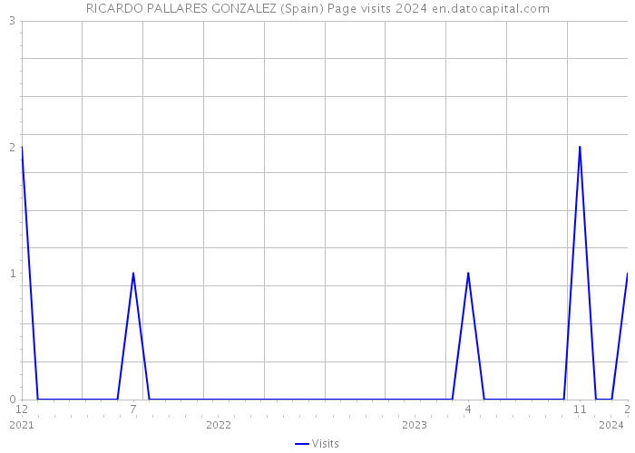 RICARDO PALLARES GONZALEZ (Spain) Page visits 2024 
