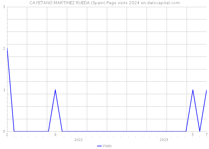 CAYETANO MARTINEZ RUEDA (Spain) Page visits 2024 