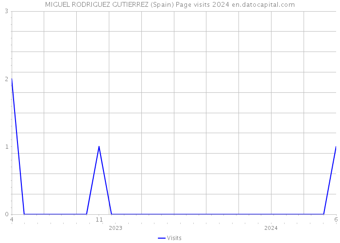 MIGUEL RODRIGUEZ GUTIERREZ (Spain) Page visits 2024 