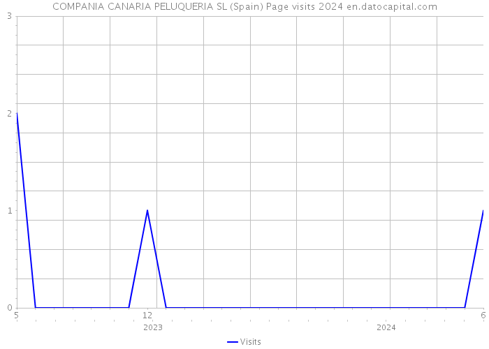 COMPANIA CANARIA PELUQUERIA SL (Spain) Page visits 2024 