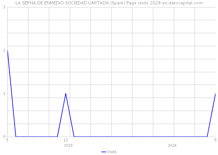 LA SERNA DE ENMEDIO SOCIEDAD LIMITADA (Spain) Page visits 2024 