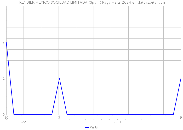 TRENDIER MEXICO SOCIEDAD LIMITADA (Spain) Page visits 2024 