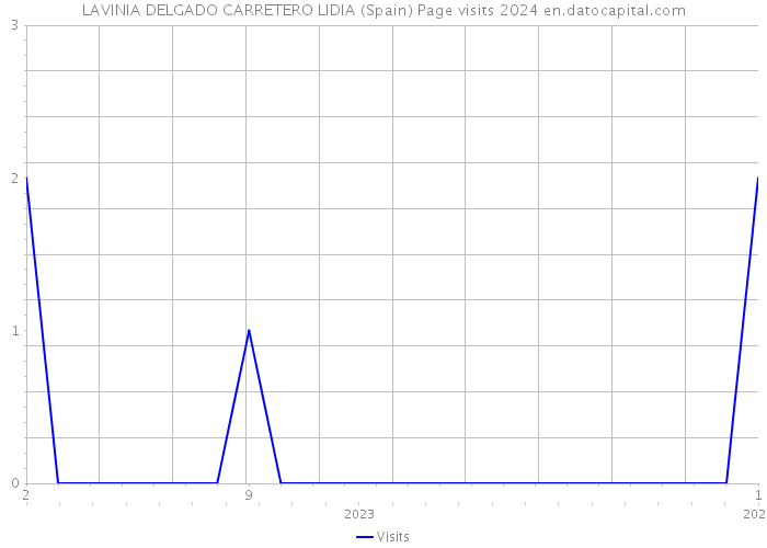 LAVINIA DELGADO CARRETERO LIDIA (Spain) Page visits 2024 