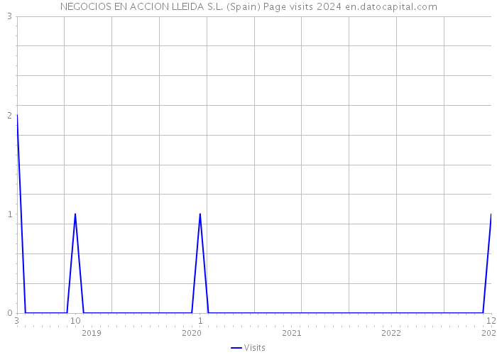 NEGOCIOS EN ACCION LLEIDA S.L. (Spain) Page visits 2024 