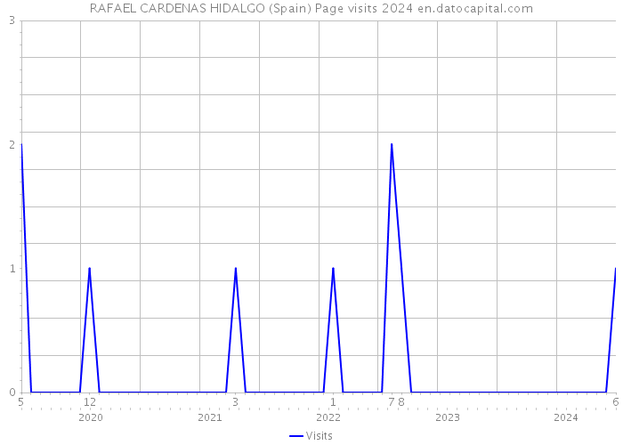 RAFAEL CARDENAS HIDALGO (Spain) Page visits 2024 