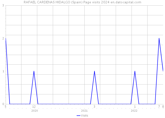 RAFAEL CARDENAS HIDALGO (Spain) Page visits 2024 