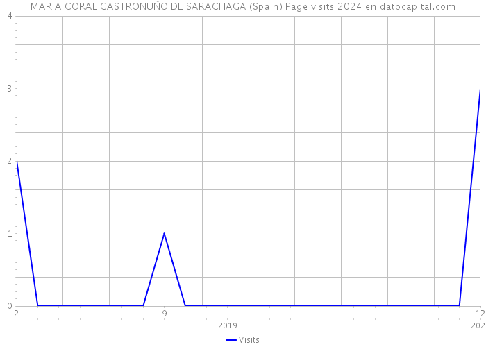 MARIA CORAL CASTRONUÑO DE SARACHAGA (Spain) Page visits 2024 