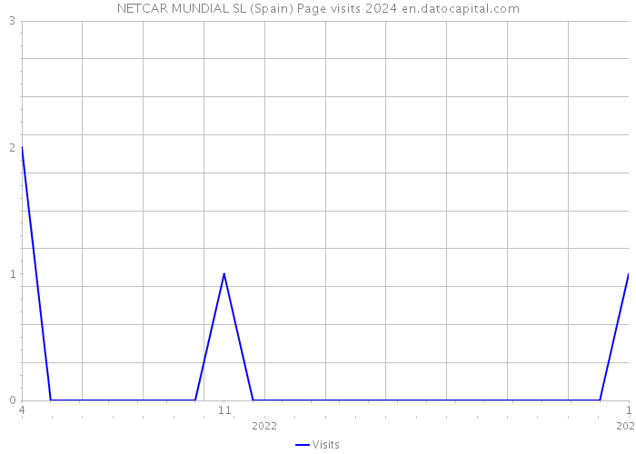 NETCAR MUNDIAL SL (Spain) Page visits 2024 