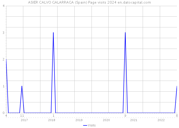 ASIER CALVO GALARRAGA (Spain) Page visits 2024 