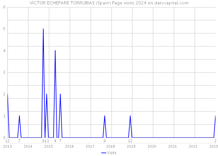 VICTOR ECHEPARE TORRUBIAS (Spain) Page visits 2024 