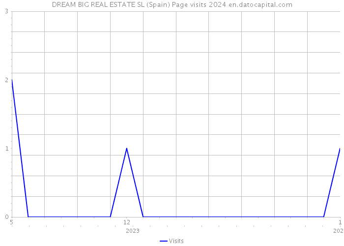 DREAM BIG REAL ESTATE SL (Spain) Page visits 2024 