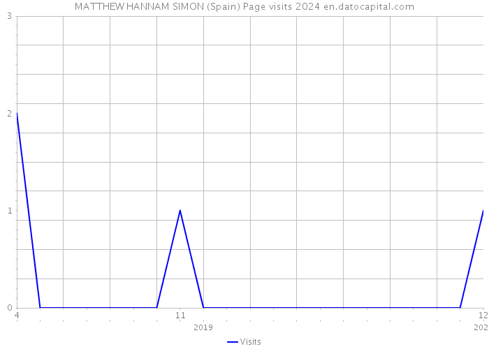 MATTHEW HANNAM SIMON (Spain) Page visits 2024 